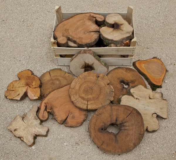 BW-02 Boomschijf bizar