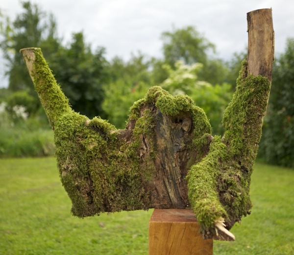 BY-01 Boomstronk bizar