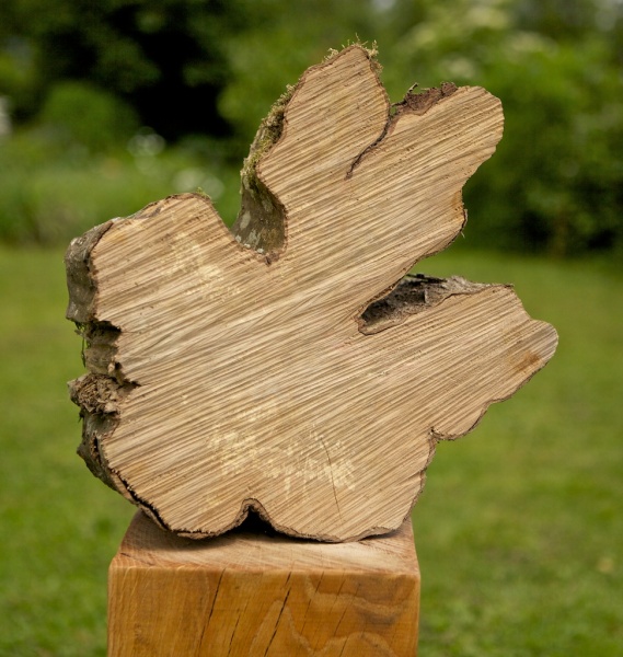 BY-02 Boomschijf Ster