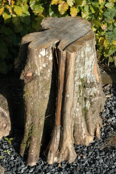 BY-03 Sokkels bizarre