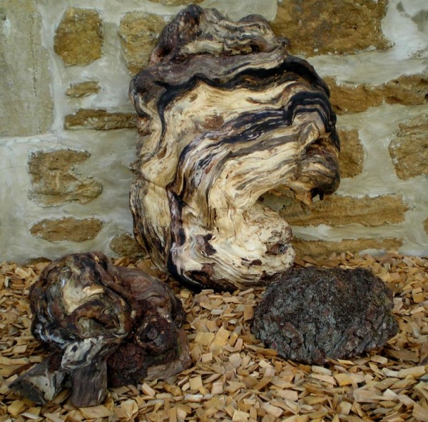 BY-06 Stamwoekeringen met vlak stuk