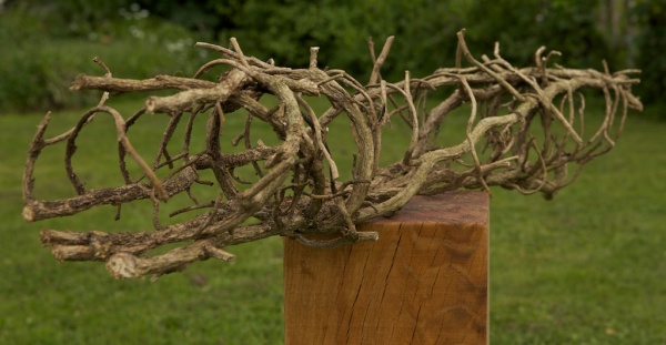 BY-08 Hedera boomomhulsel rond