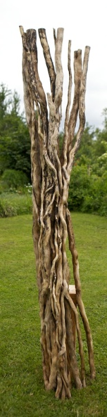 BY-09 Hedera  boomomhulsel verhout