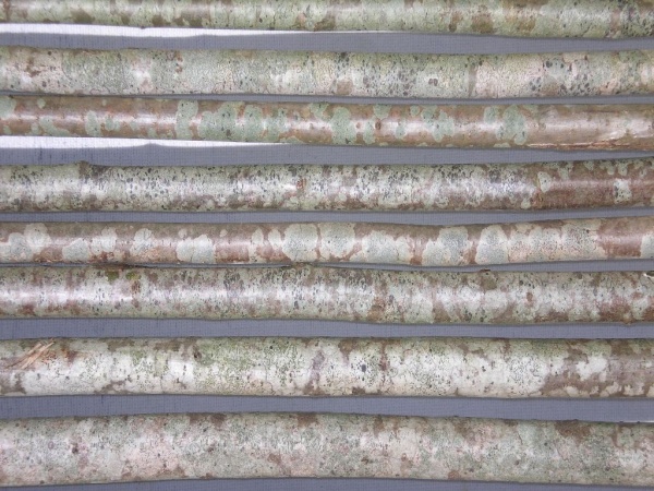 BY-11 Boomstammetjes alle soorten en maten