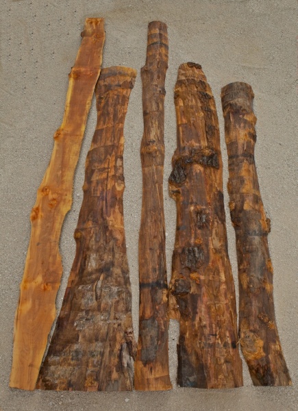 BY-14 Ontschorste boomplaten