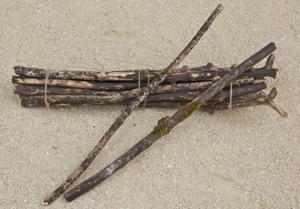 DE-12 Luipaardtakken 80cm