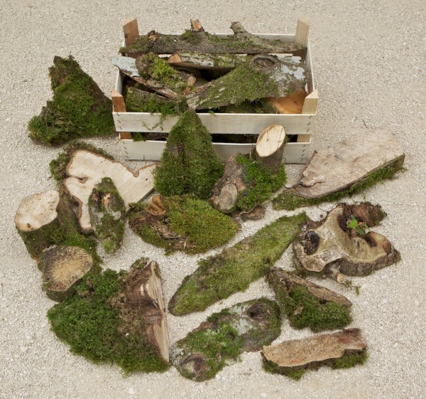 DE-17 Kistje Mosstukken